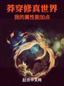 中级会计师一级
