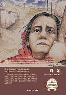 财税孙先生