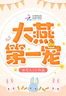 秀屿区会计线上学习指导
