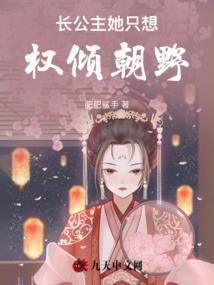 会计信息造假案例