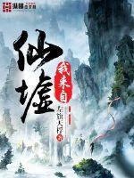 中级会计体型