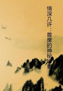 中级会计内训视频