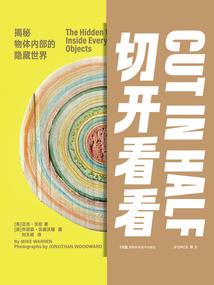 传统会计的局限性