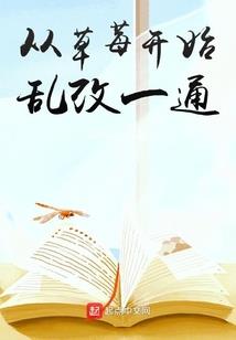 总会计师概念