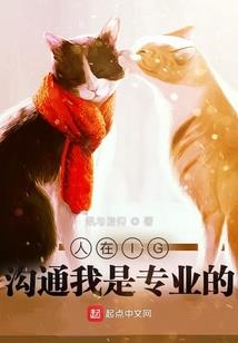 cpa战略咨询