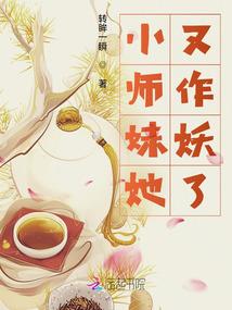 火爆的会计师