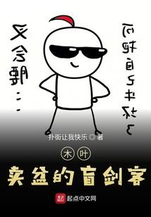 中级会计师能去政府吗