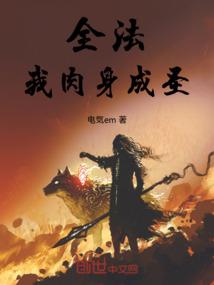 东奥会猎豹系统