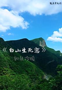 初级会计证岗位