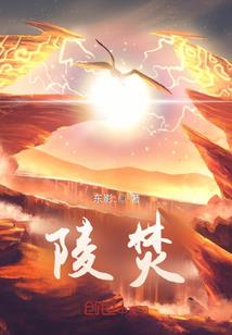 漳州会计师证书领取地址