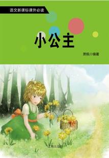 会计刺客西瓜影音