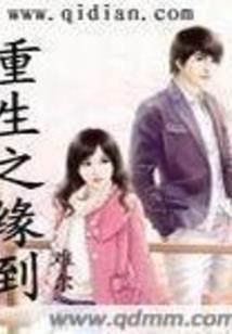 学初级会计计划