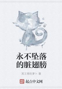 什么是会计和金融专业