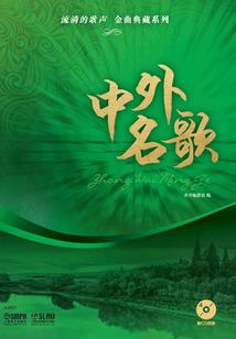 会计实训通用记账报告