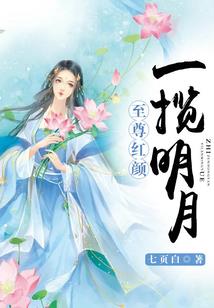 注册会计师赞会计学堂