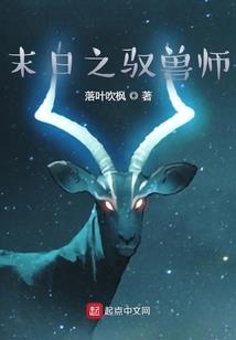 中海油会计工资