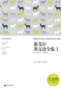 会计套表