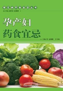 会计提交是什么