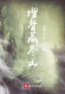 东丽奥斯维面料批发