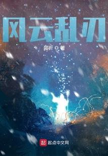 书呆财税