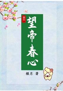 评审的中级会计在哪查