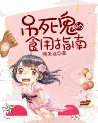 山东初级会计怎么备考