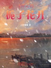 会计等式及作用