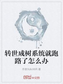 西安盛世财税