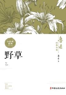 初级会计考试考场内视频