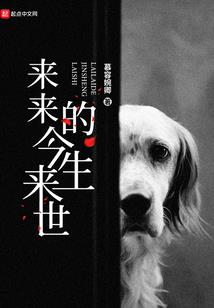 会计的计量包括