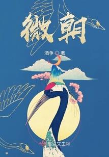 电大会计实训和考试