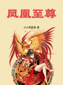 2015年会计从业资格