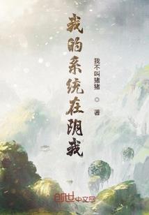 财政评审论文