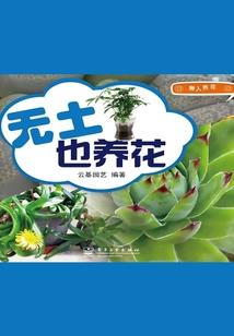 会计分录怎么计算税额