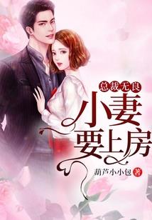 什么地方招会计师证书
