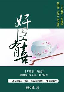 东奥会中国待遇