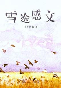 中国财政局询证函