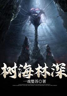 初级会计申领资格审核