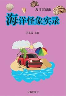 未央财税公司设计