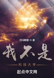 东奥盈利多少