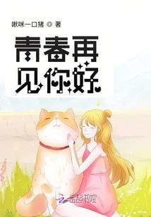 新疆初级会计缴费系统