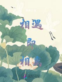 东奥会写作素材运用
