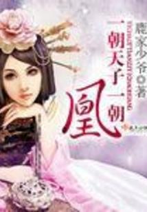 财政部门实施会计监督