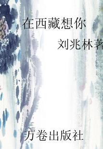 17年会计初级考试原题