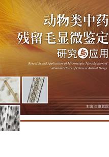 中级会计师过了考注会