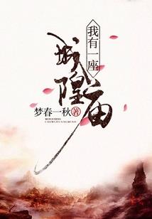 新城中级会计实操推荐