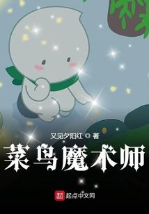 中央财政各地投资项目