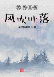 收据属于会计凭证