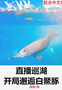 初级会计上册和下册