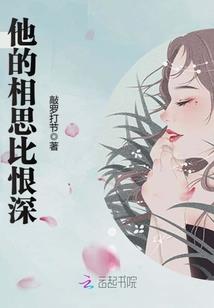 总公司投资车辆会计分录